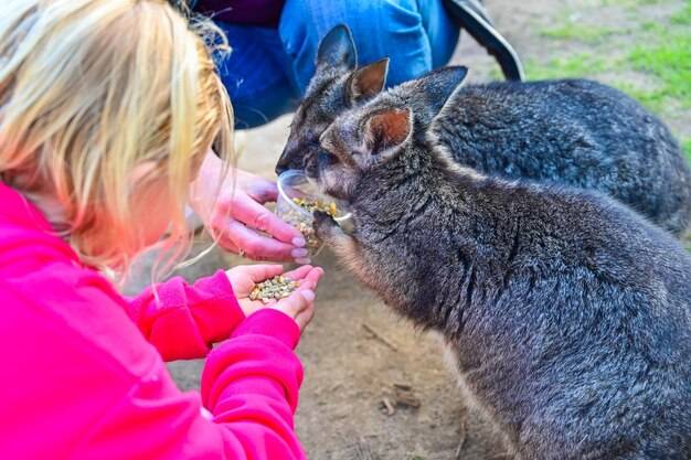 Co jedzą Chorwaci na co dzień?