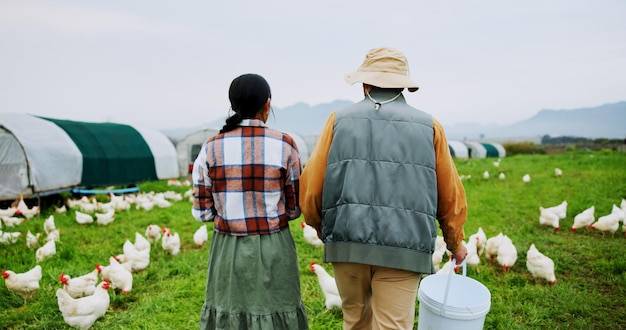Jak założyć agroturystykę i zdobyć dotacje?