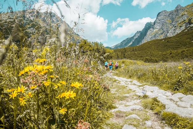 Gdzie w góry w kwietniu wybrać się na udany wyjazd?