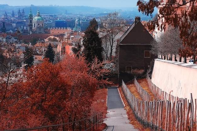 Gdzie w lutym w Polsce warto zaplanować zimowy wyjazd?