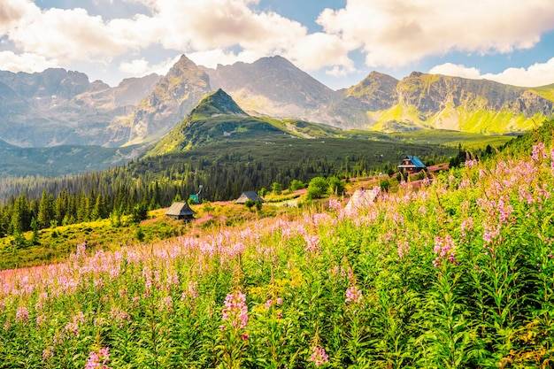 Polskie góry gdzie warto pojechać latem dla miłośników aktywnego wypoczynku