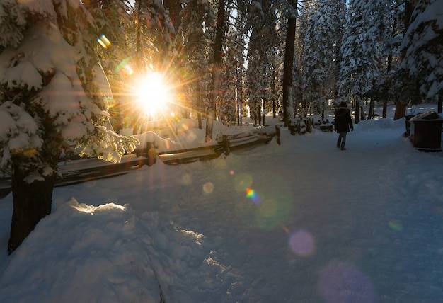 Gdzie jest gorąco zimą i dlaczego warto tam pojechać?