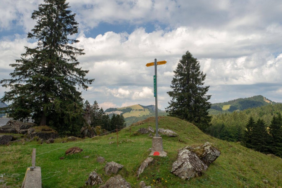 Co zobaczyć w Świętokrzyskiem podczas weekendowego wyjazdu?