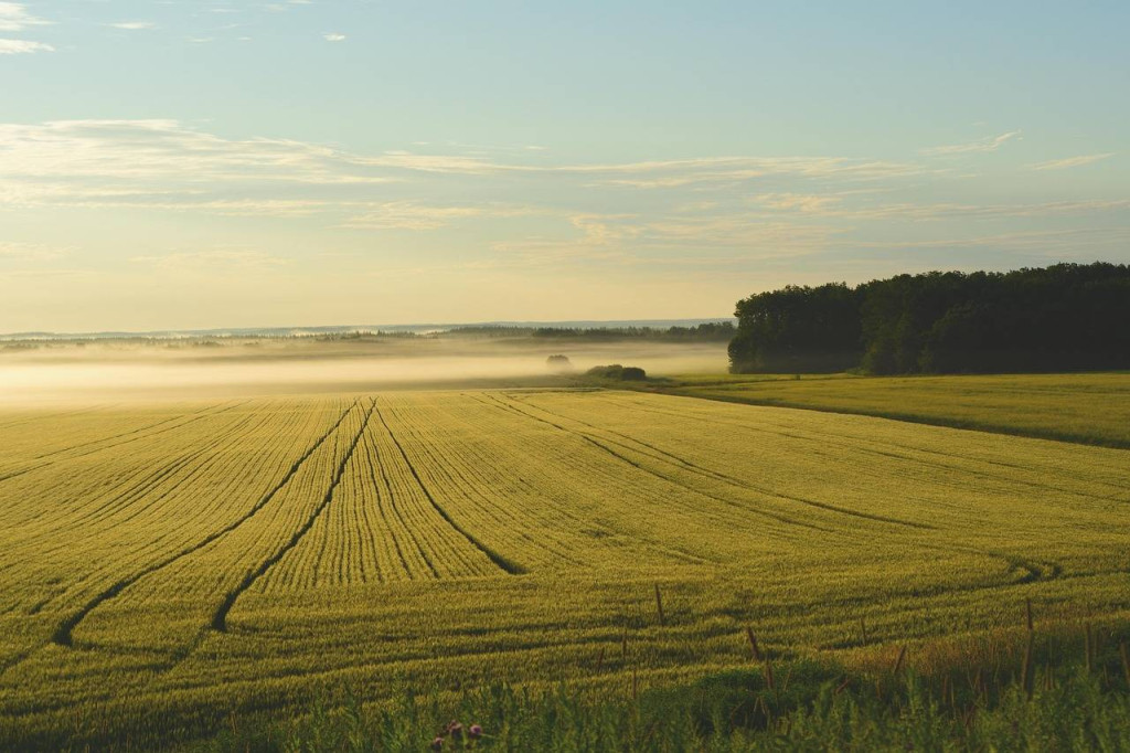 Co z agroturystyką w obliczu nowych wyzwań?