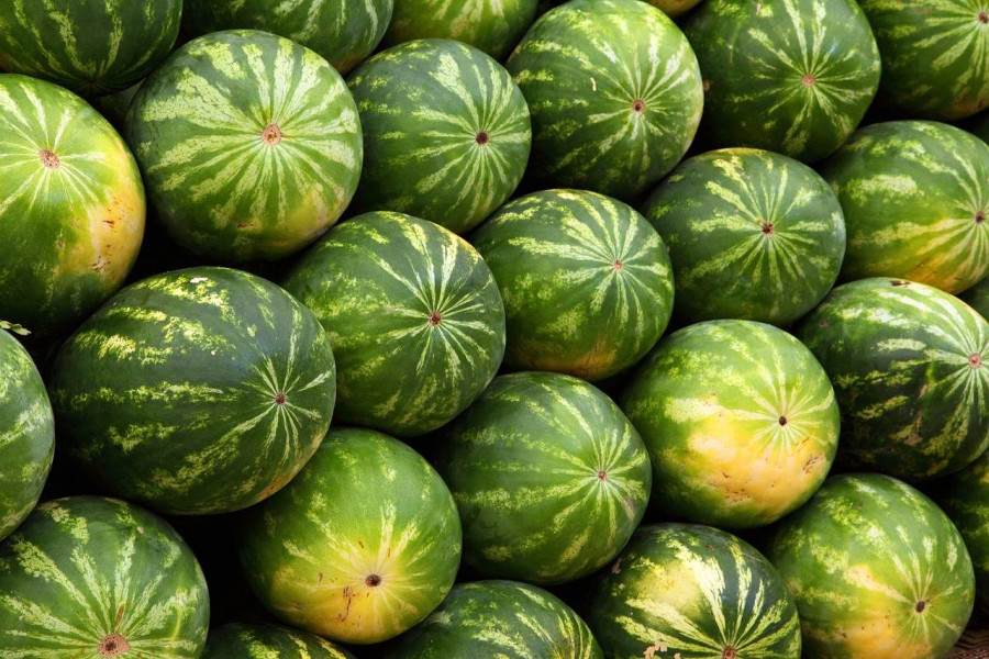 Gdzie zjeść w Poznaniu na rynku i poczuć klimat miasta?